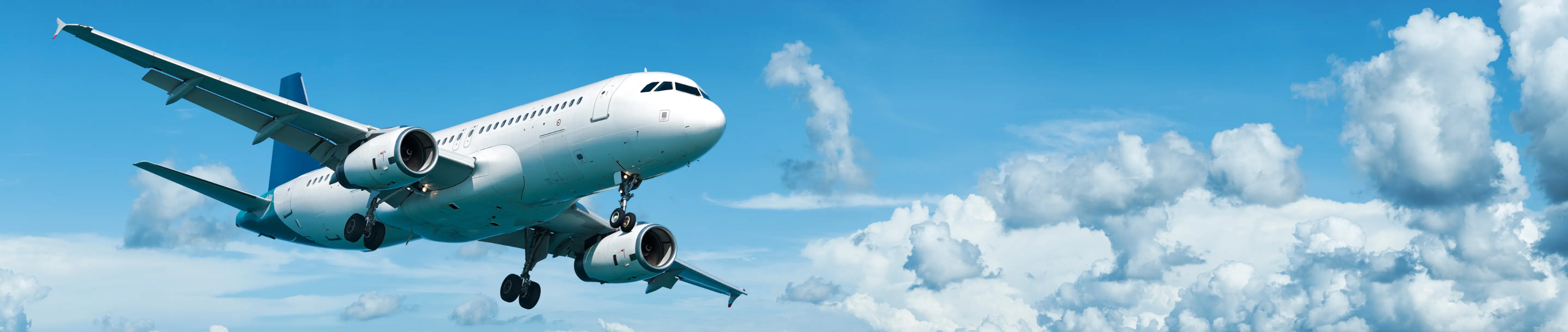 Tour organization services at Baku Holiday Travel.