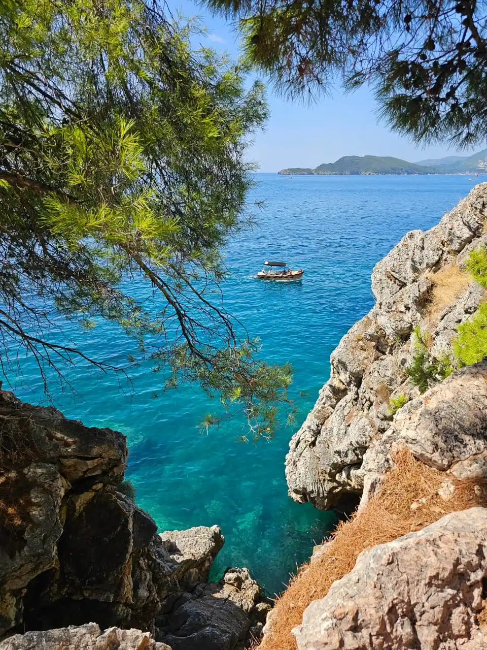 Clear Adriatic waters framed by rocks and pine trees with a small boat.